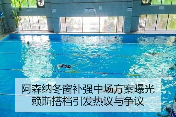 阿森纳冬窗补强中场方案曝光 赖斯搭档引发热议与争议